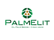 PalmElit